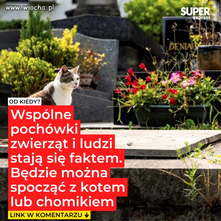 Czego to ludzie jeszcze nie wymyślą 