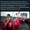 Kobyły cielić a wilki latać będą
