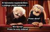 I wszystko przez tego Zenka 