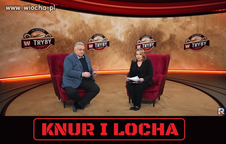 Tymczasem w pisowskim chlewiku