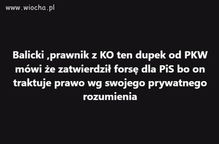 Czy on w ogóle coś rozumie?