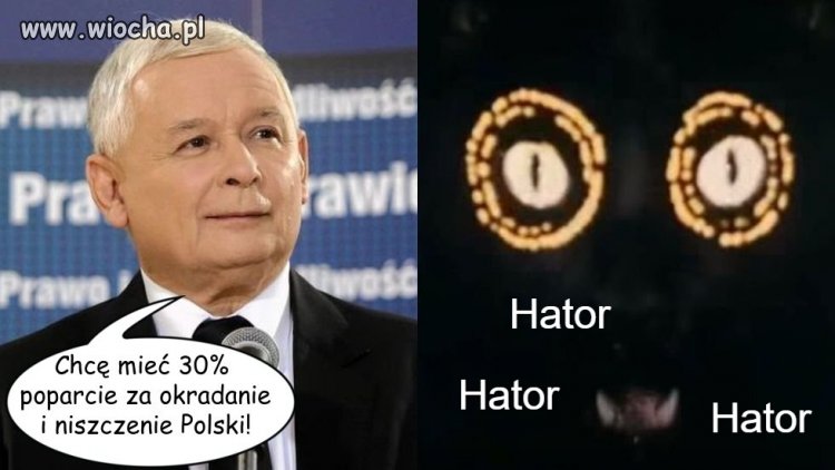 Siedem Życzeń wersja 2025