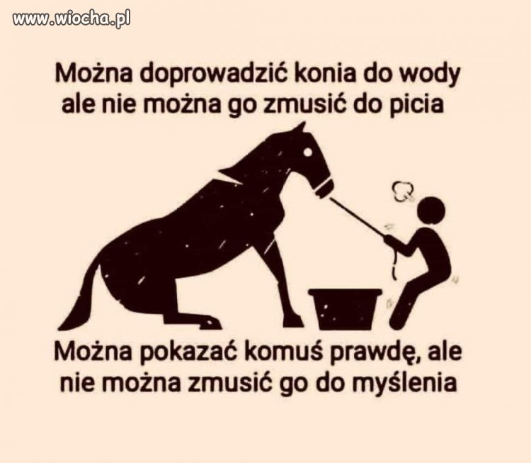 Człowiek w pełnym znaczeniu