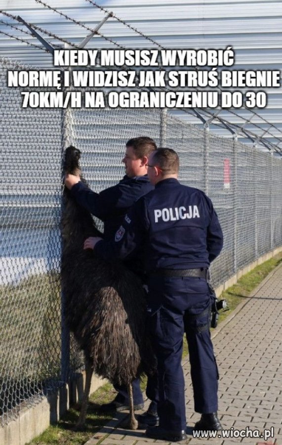 Norma musi się zgadzać.