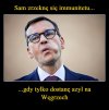 Hej Matti, a czy ty wiesz, że twój kumpel wprowadził