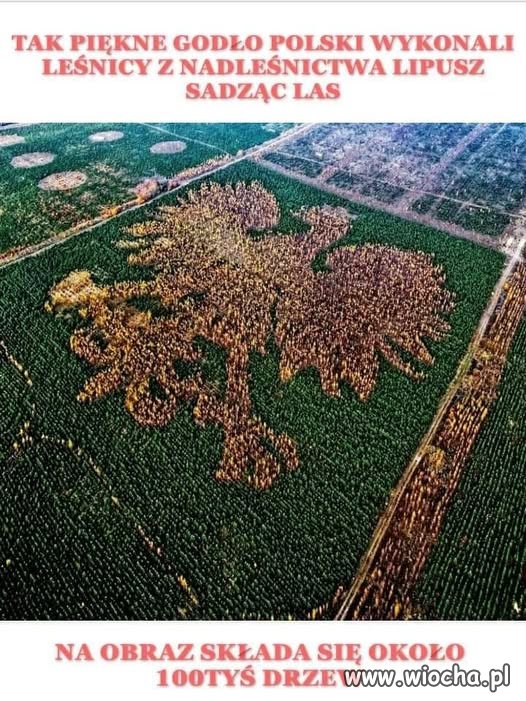 Mój kraj taki piękny...