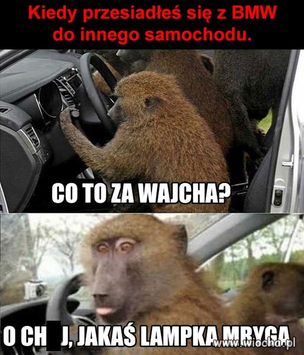 Aaa zapuszczę muzę do światełek
