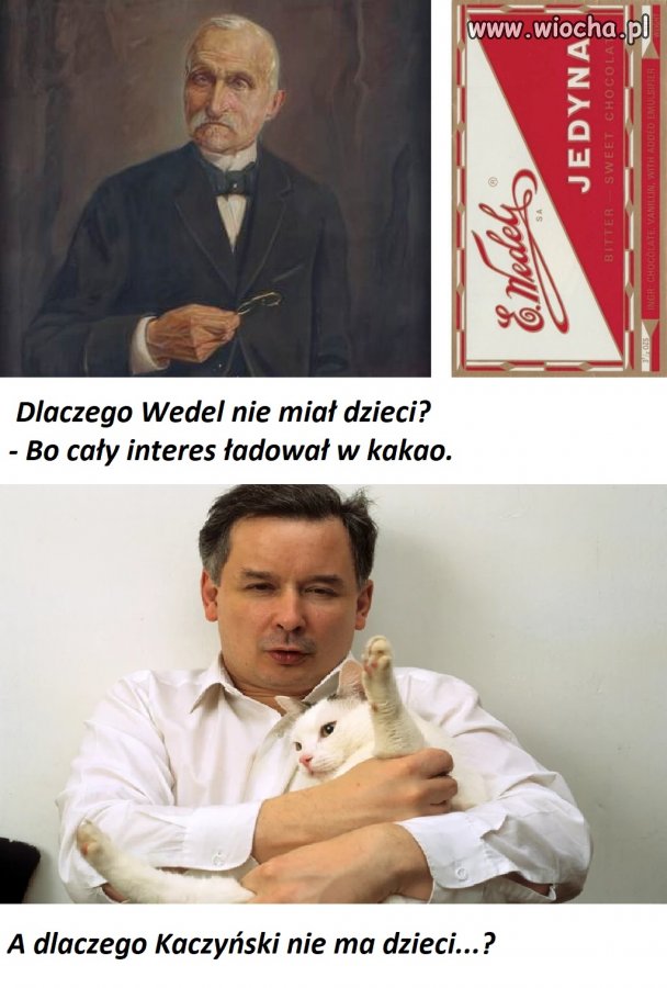Choco Jaro