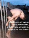 Sylwester marzeń.