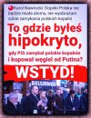 Pisowski pionek