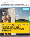 Troll poziom ekspert