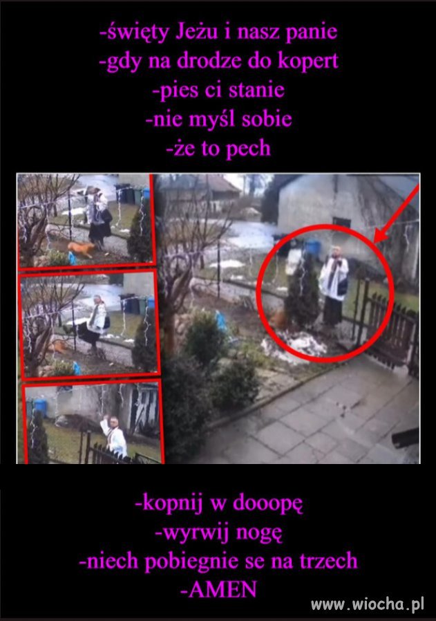 To najlepsza reklama upadającej sekty kościoła...