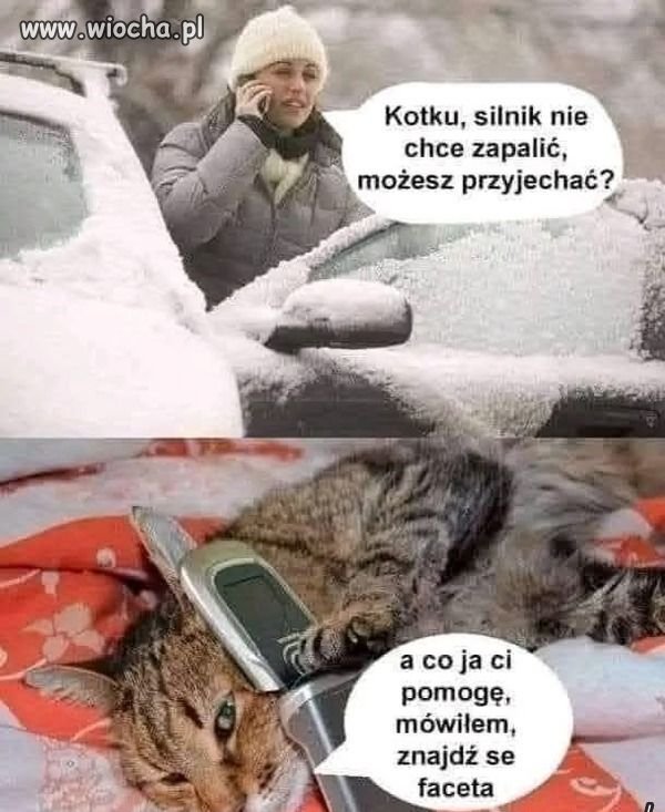 Znajdź faceta.