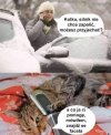 Znajdź faceta.