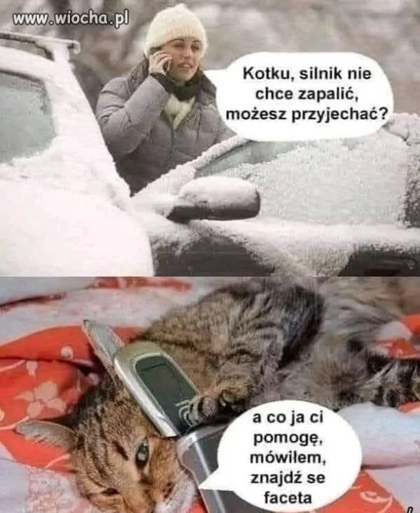 Znajdź faceta.