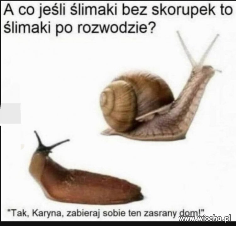 Jakby tak na to spojrzeć 