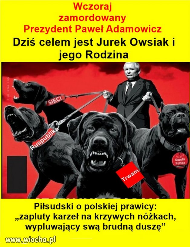 PiS miał największe poparcie w domach wariatów...