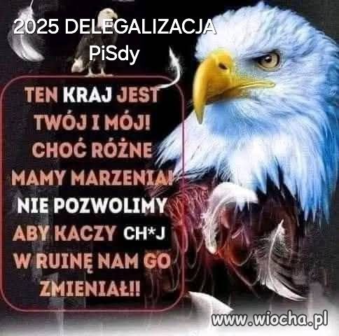 Czas się obudzić