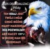 Czas się obudzić