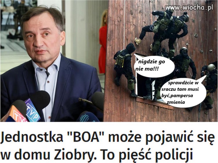 Polowanie na