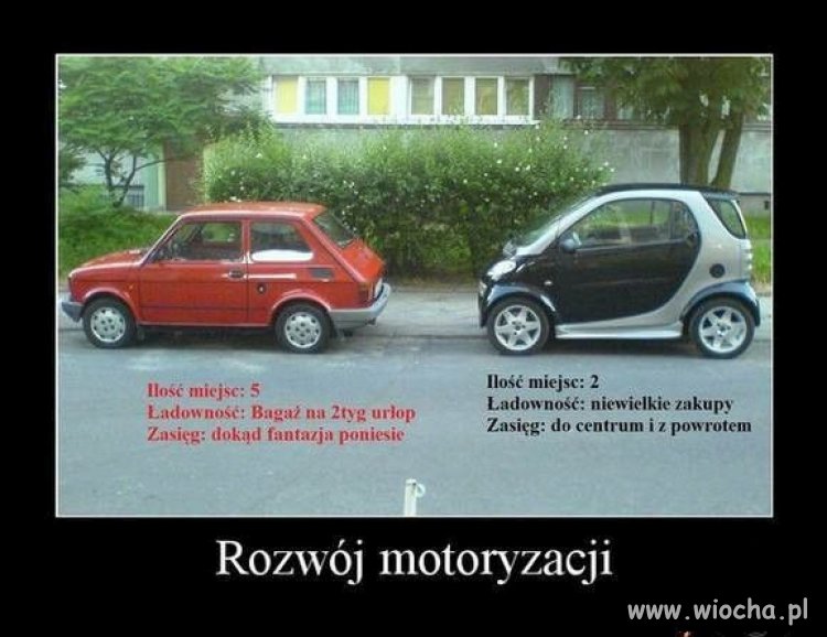 Potwierdzam