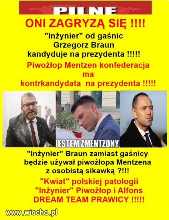 Hołota Putina ma wielu kandydatów...