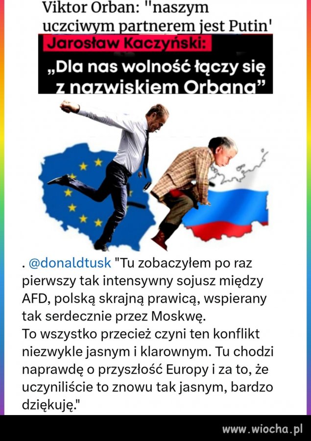 Kaczyniaki, Orbanki, Ficowcy, wypedralać do rosji !