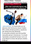 Kaczyniaki, Orbanki, Ficowcy, wypedralać do rosji !