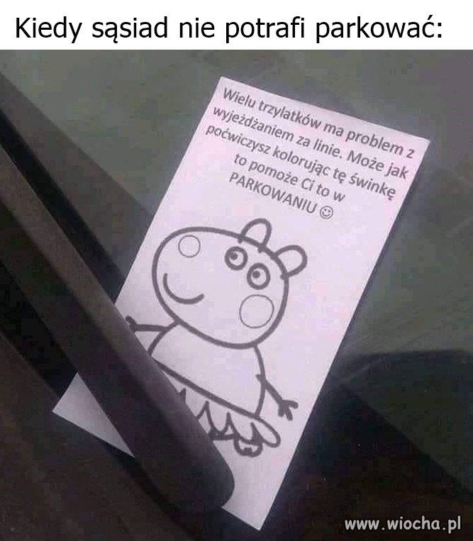 Owca vel świnka