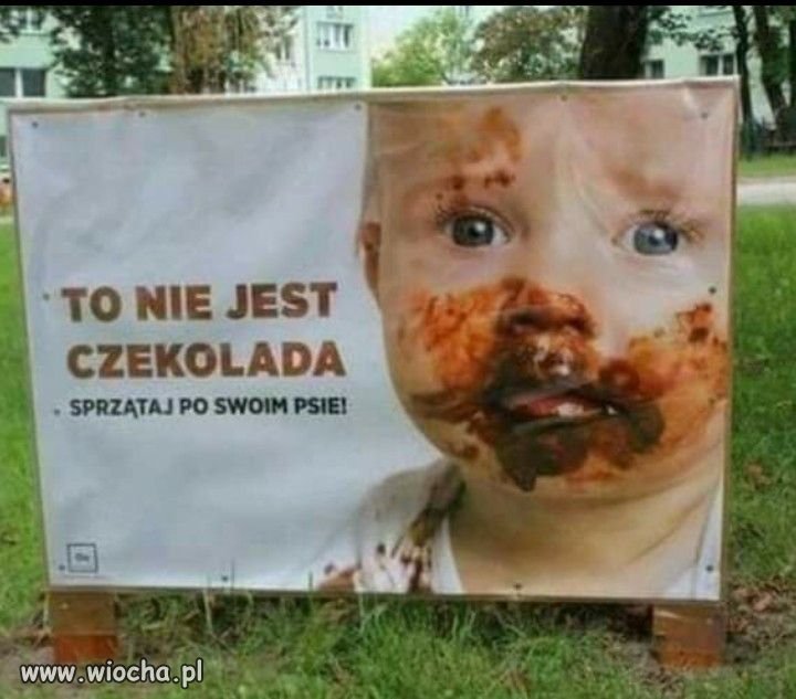 Dla właścicieli