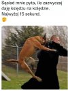 Oj trzeba zatrudnić wykidajłę