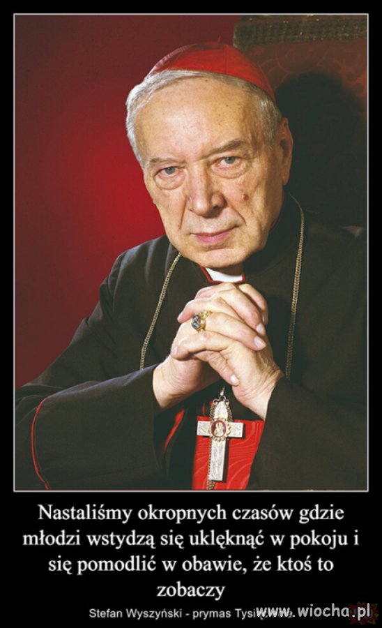 Nie wstydzą się. 