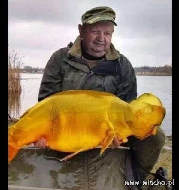 Co się dziwisz?