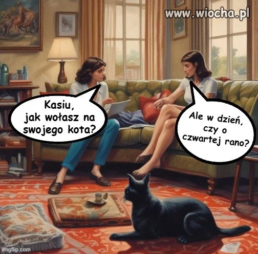 Kto mieszka z kotem,