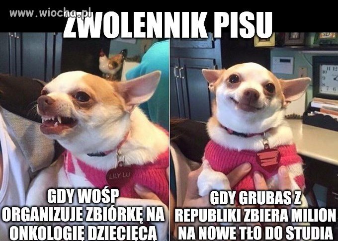 Tak to właśnie wygląda 
