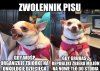 Tak to właśnie wygląda 