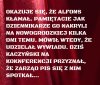 Alfons kłamie co pysk otworzy