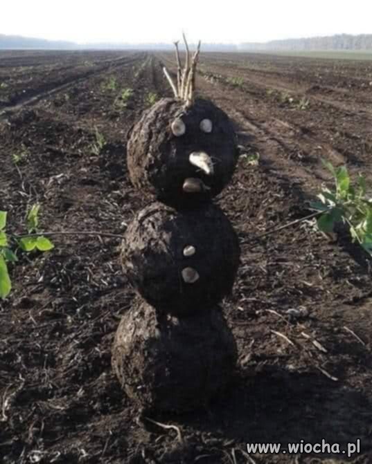 Ocieplenie klimatu