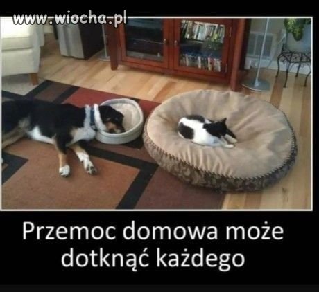 Przemoc