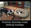 Przemoc