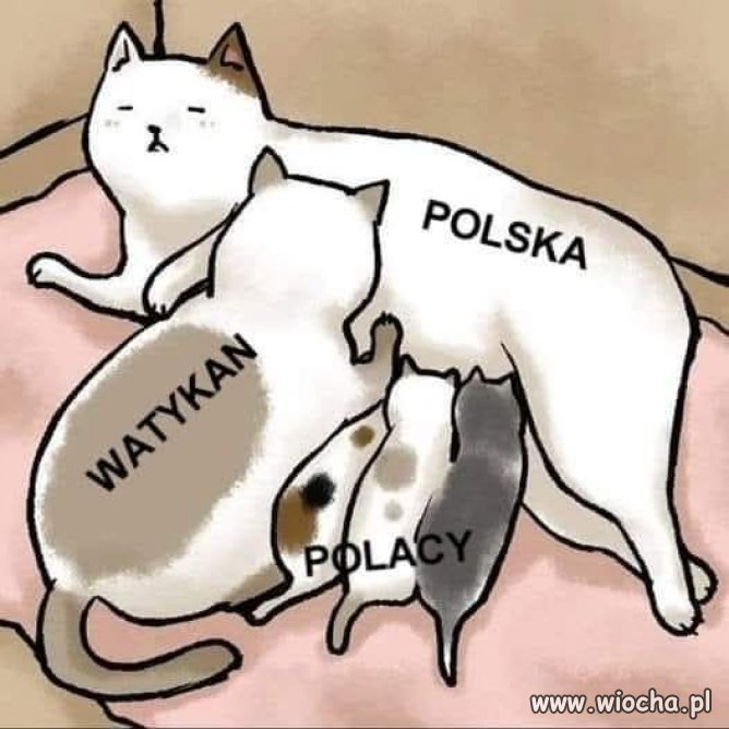 Hej Polacy! Nie dajmy się dłużej doić watykańskiej mafii!