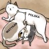 Hej Polacy! Nie dajmy się dłużej doić watykańskiej mafii!