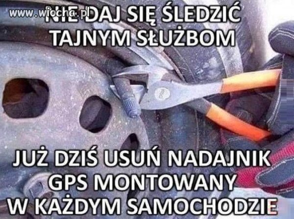 Ciekawostka dla pisiaków.