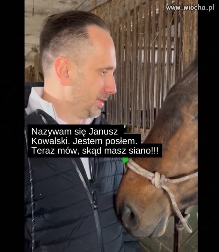 To jest Janusz