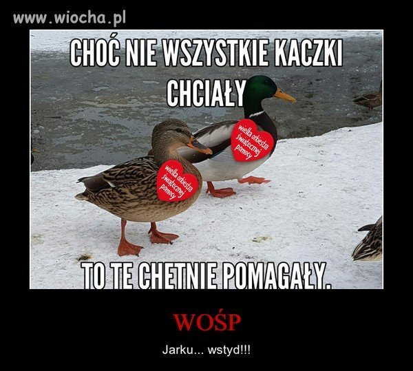 I jak co roku szczucie na orkiestrę..