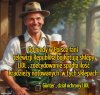 W każdej bajce
