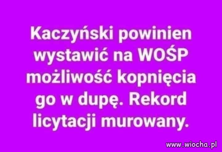 Kto z Was by licytował ?