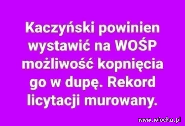 Kto z Was by licytował ?