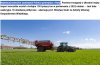 Kupuj polską żywność krzyczą rolnicy