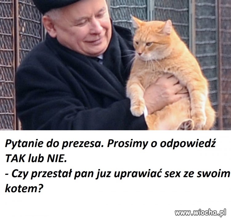 Prosimy odpowiedzieć a nie odwracać kota ogonem
